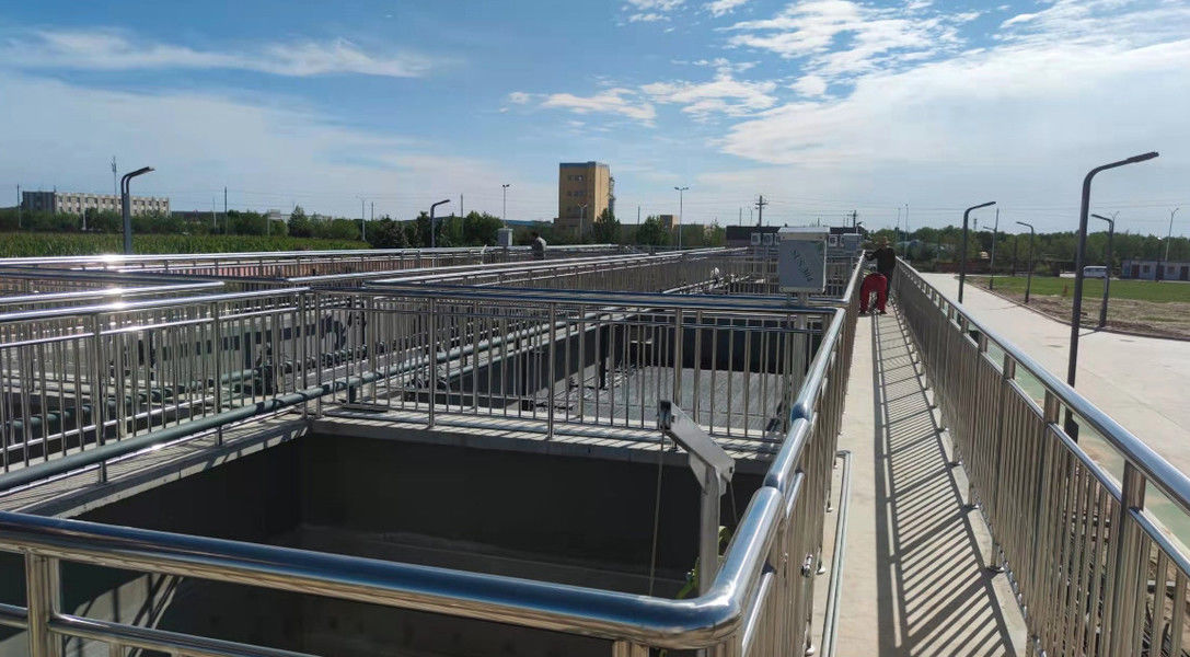 Shaanxi Shanqing Environmental Technology Co., Ltd. خط إنتاج المصنع